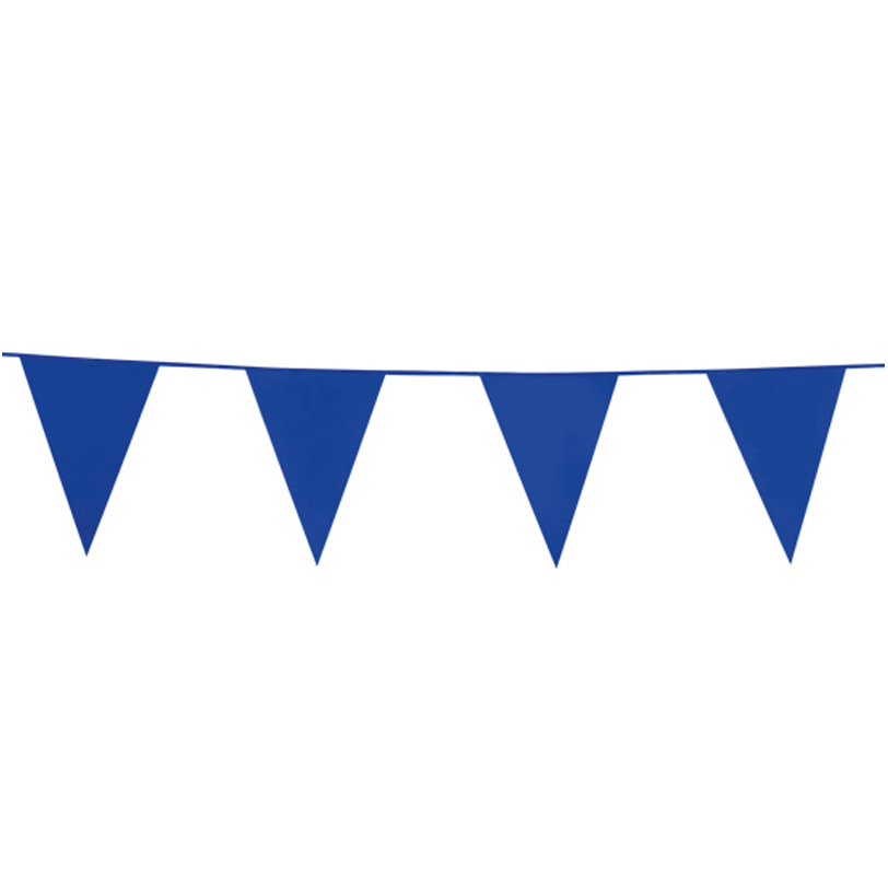 Vlaggenlijn Blauw 10 meter