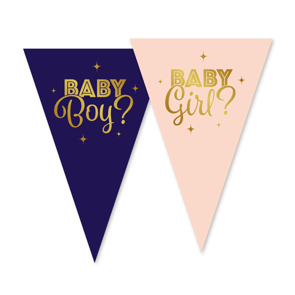 Vlaggenlijn Gender Reveal – 10 meter