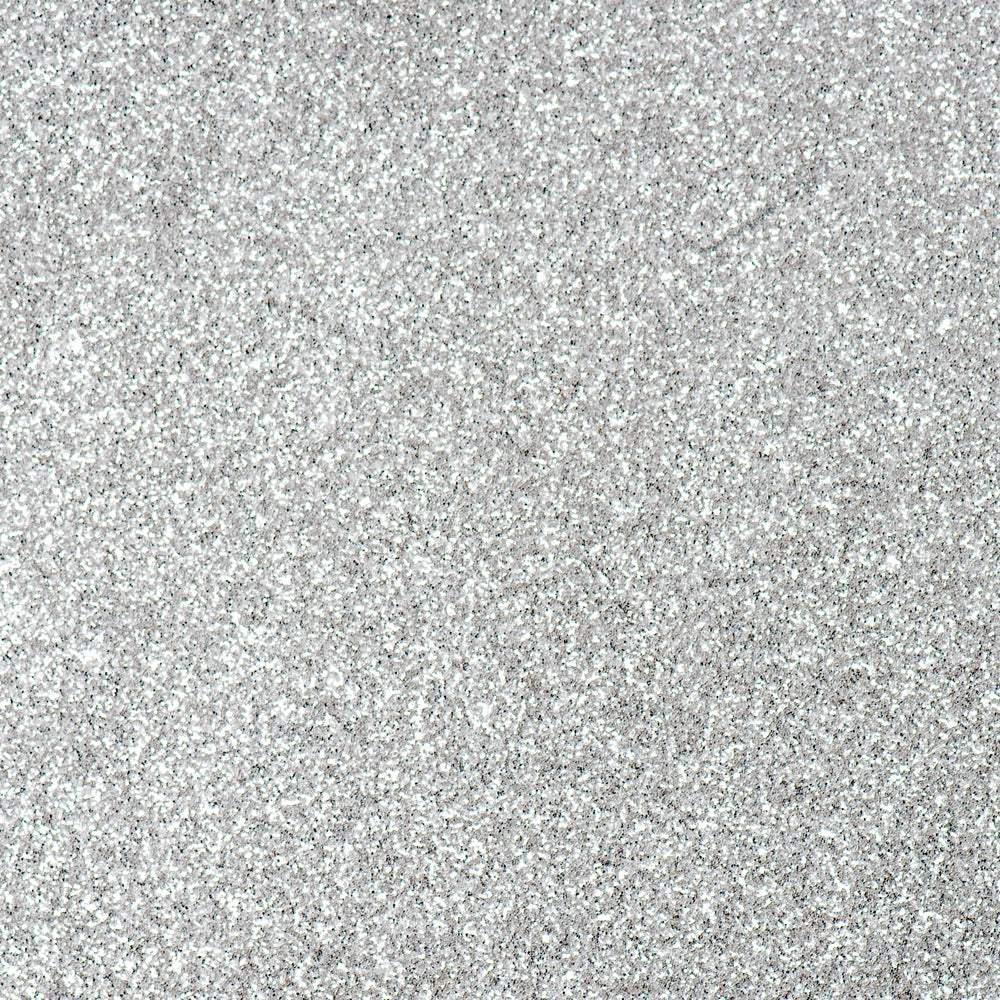 Vlaggenlijn Zilver Glitter 6 meter - foto 4