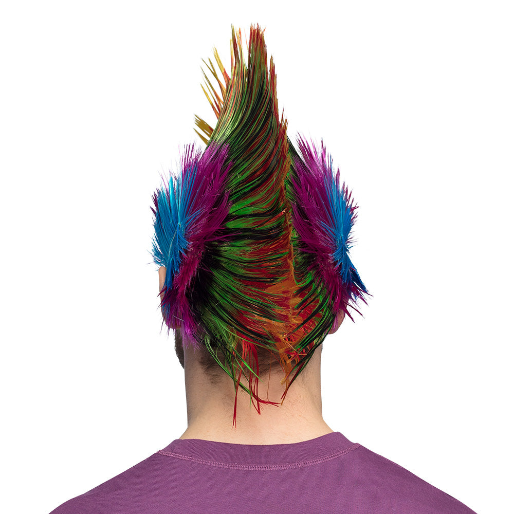 Pruik punk hanenkam regenboog - foto 5