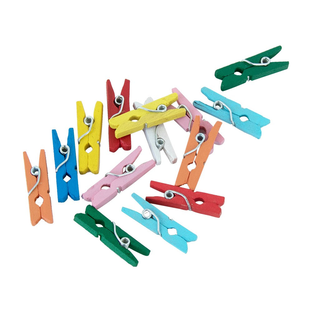 Mini-knijpertjes hout (24 stuks) gemengd