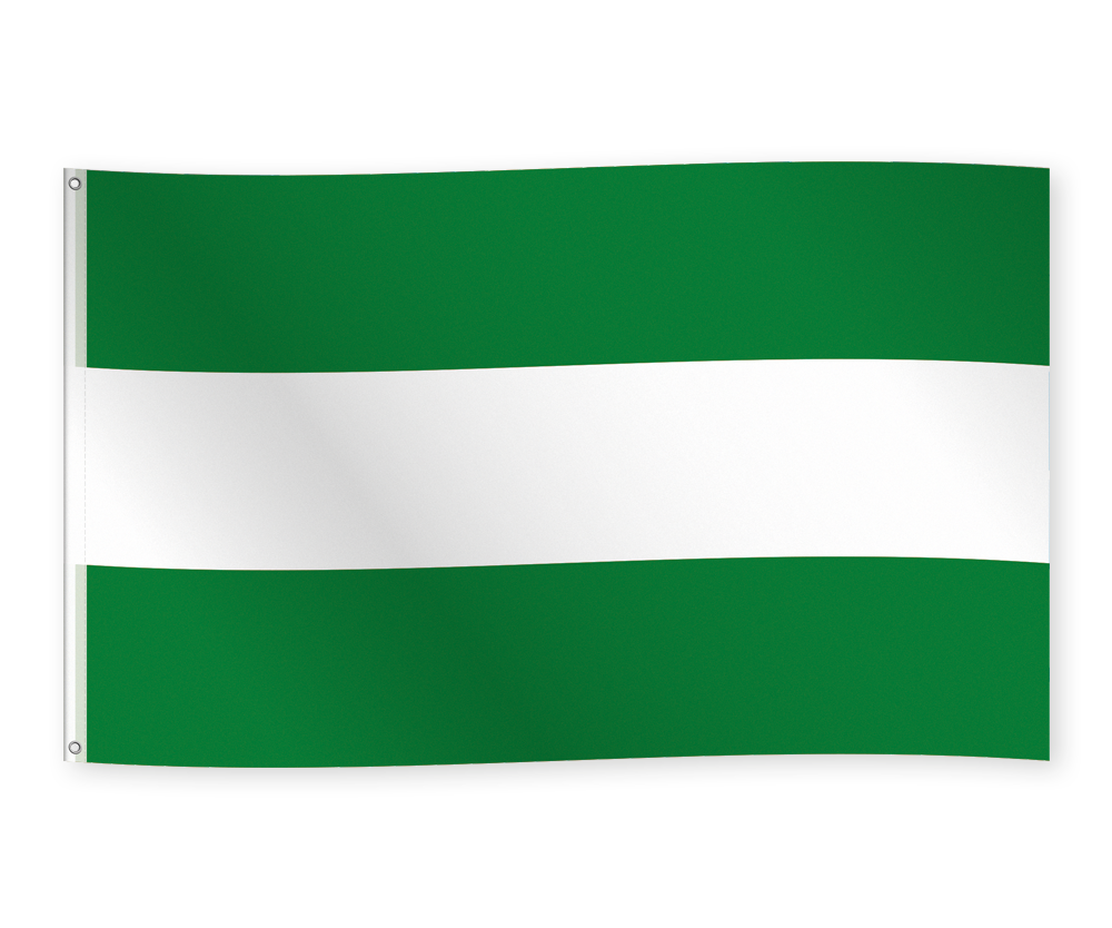 Vlag Rotterdam 150 x 90 cm