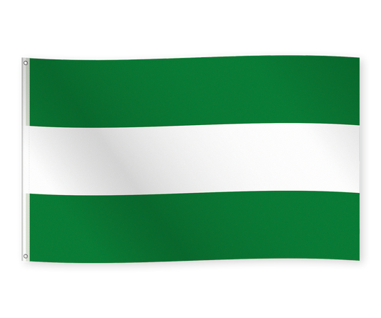 Vlag Rotterdam 150 x 90 cm