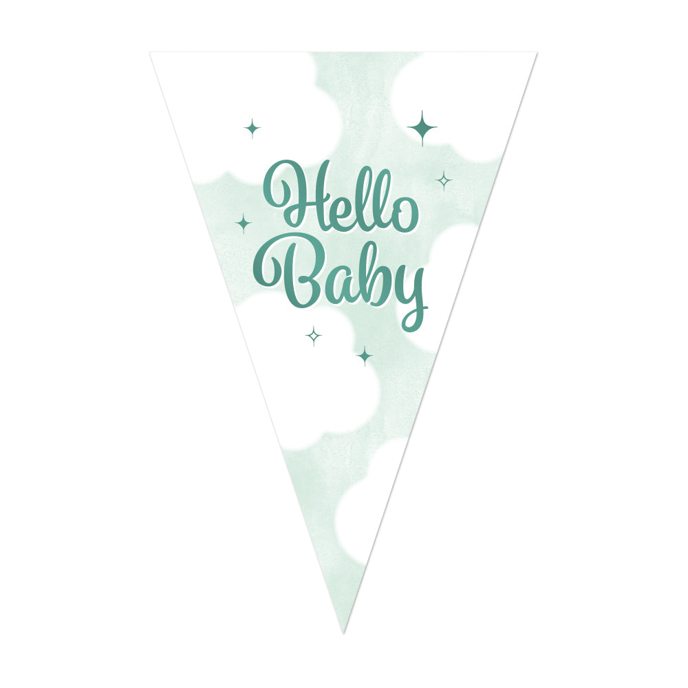Vlaggenlijn Hello Baby – 10 meter