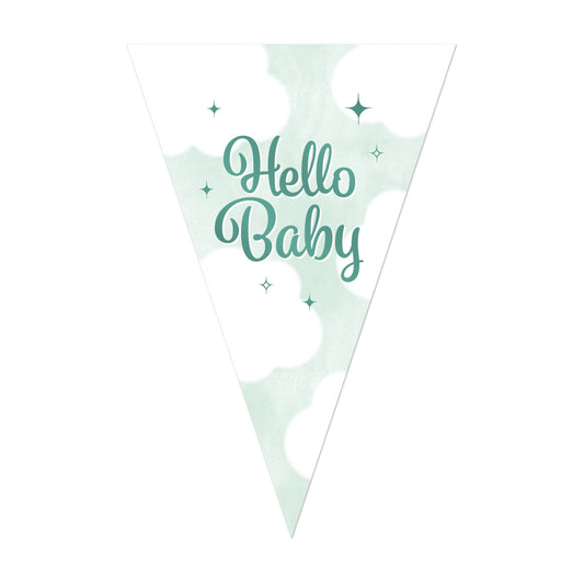 Vlaggenlijn Hello Baby – 10 meter