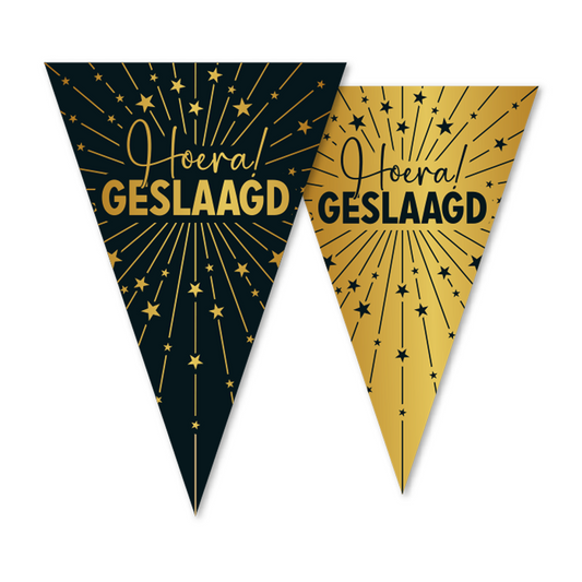 Vlaggenlijn Hoera Geslaagd Goud/Zwart – 10 meter (Dubbelzijdig)