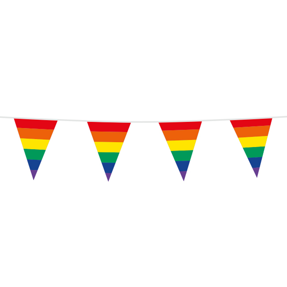 Vlaggenlijn Regenboog 10 meter