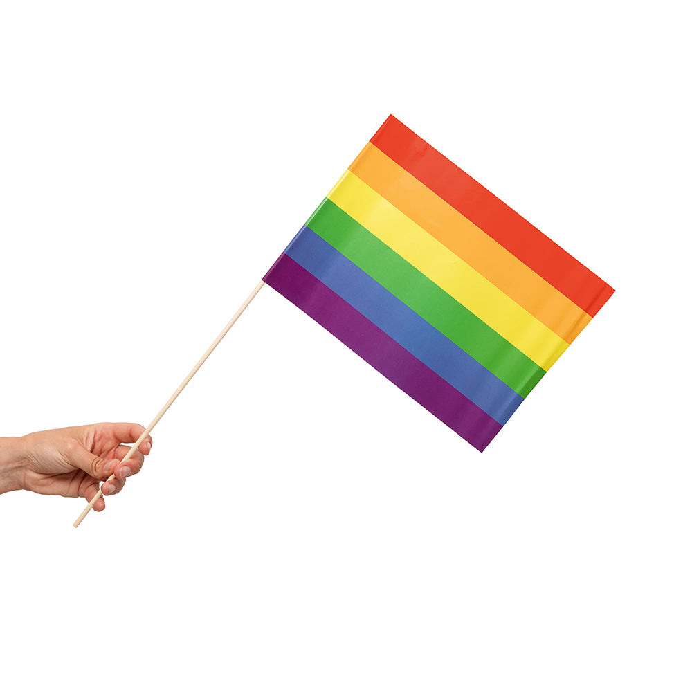 Zwaaivlaggetjes Regenboog 20 x 30 cm (10 stuks) - foto 2