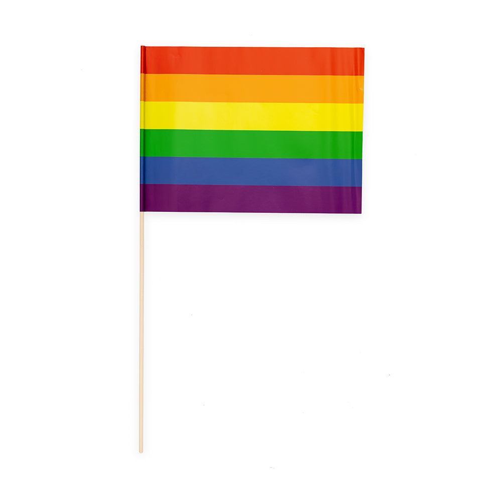 Zwaaivlaggetjes Regenboog 20 x 30 cm (10 stuks)